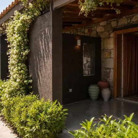 Voger Social Hotel