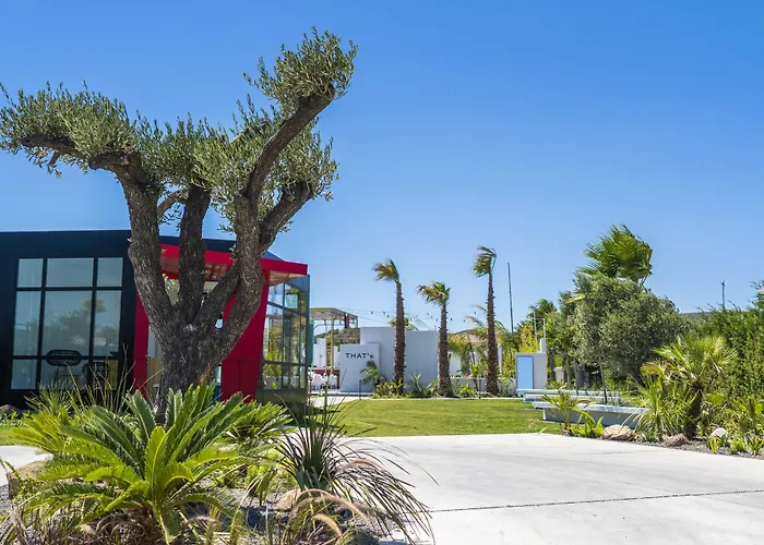 That's * ألاتشاتي