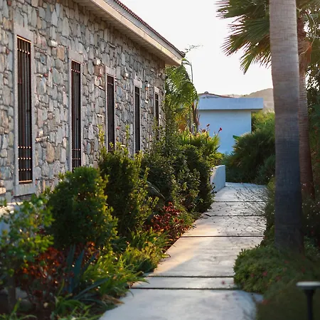 That's ألاتشاتي