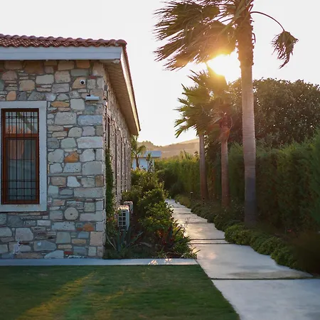 That's * ألاتشاتي