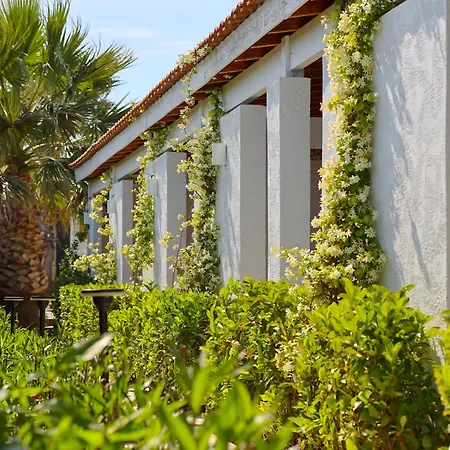 فندق That's ألاتشاتي